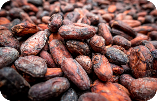 hundreds of caramalized cacao