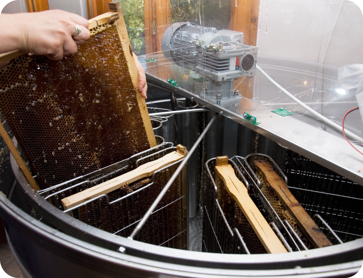 a person putting honey frames in a tin bucket
