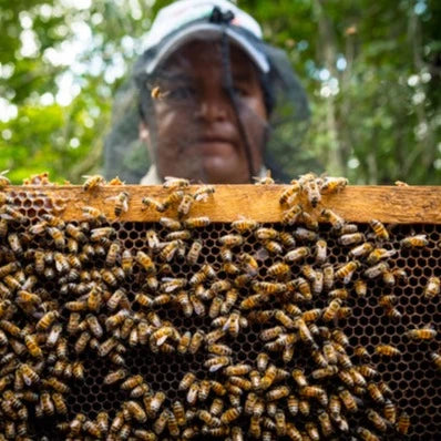 Photo of beekeeper with his bees